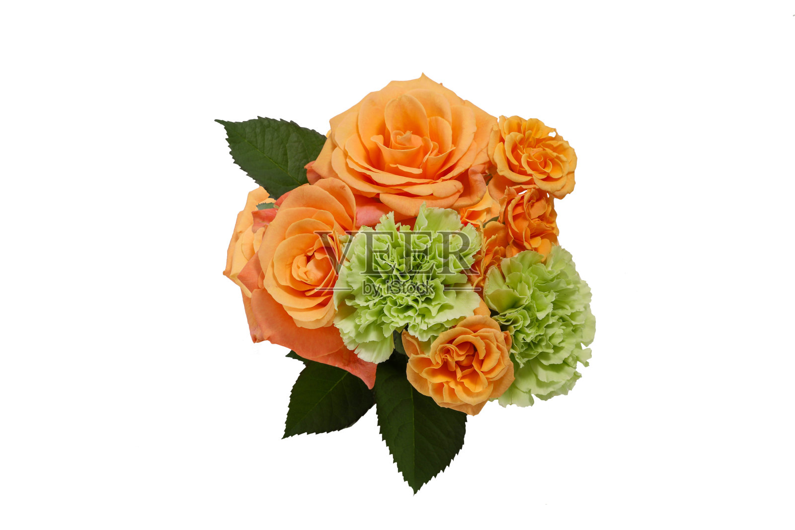 白色背景下的玫瑰和康乃馨花束照片摄影图片