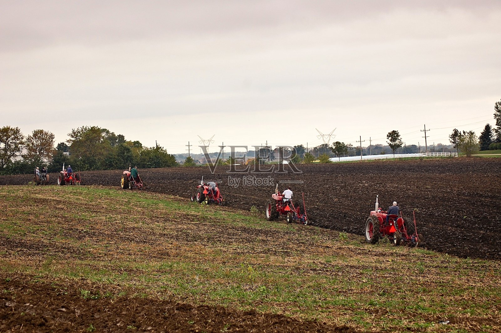 季末耕田照片摄影图片