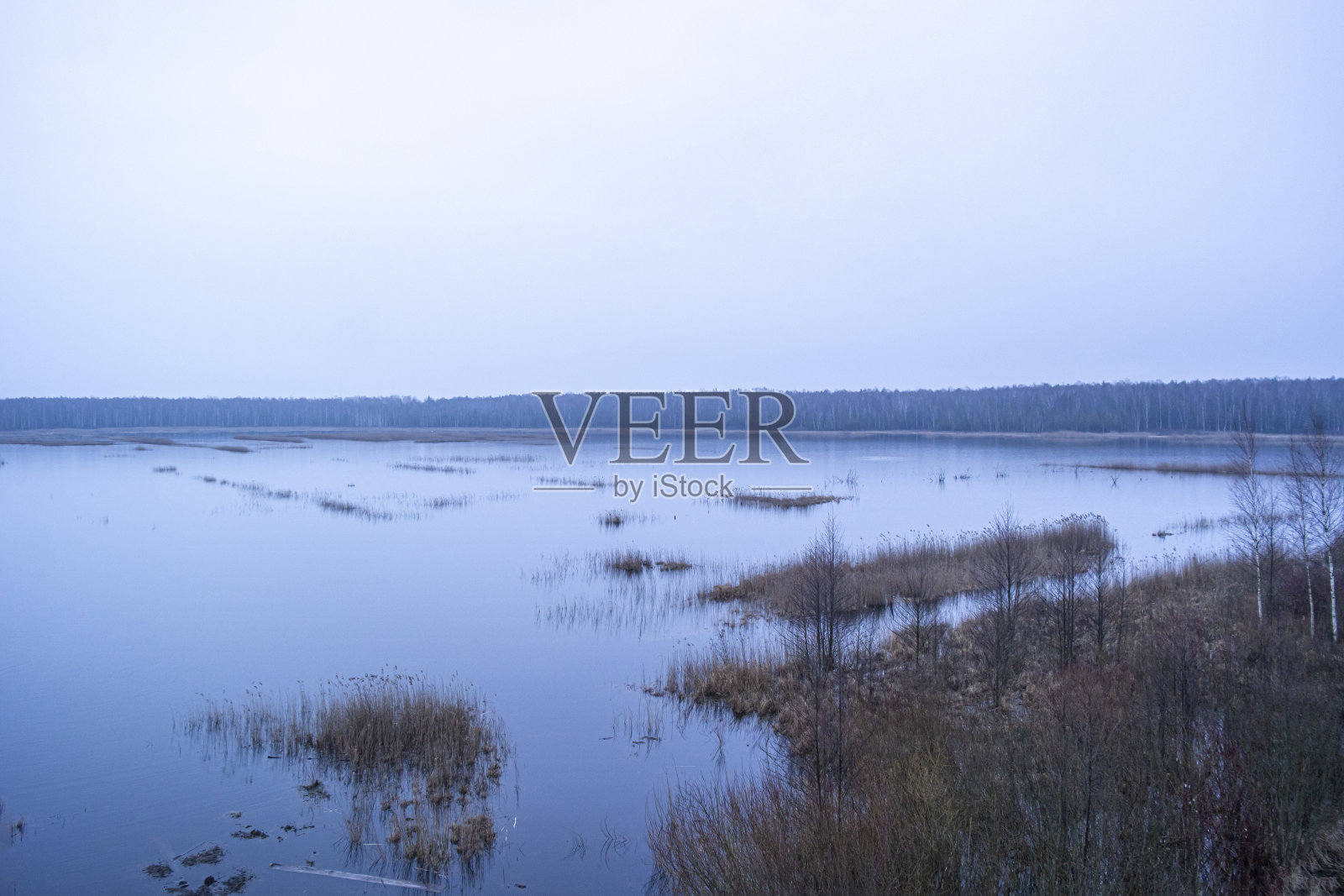 林地沼泽湖和地平线,立陶宛秋天的颜色照片摄影图片