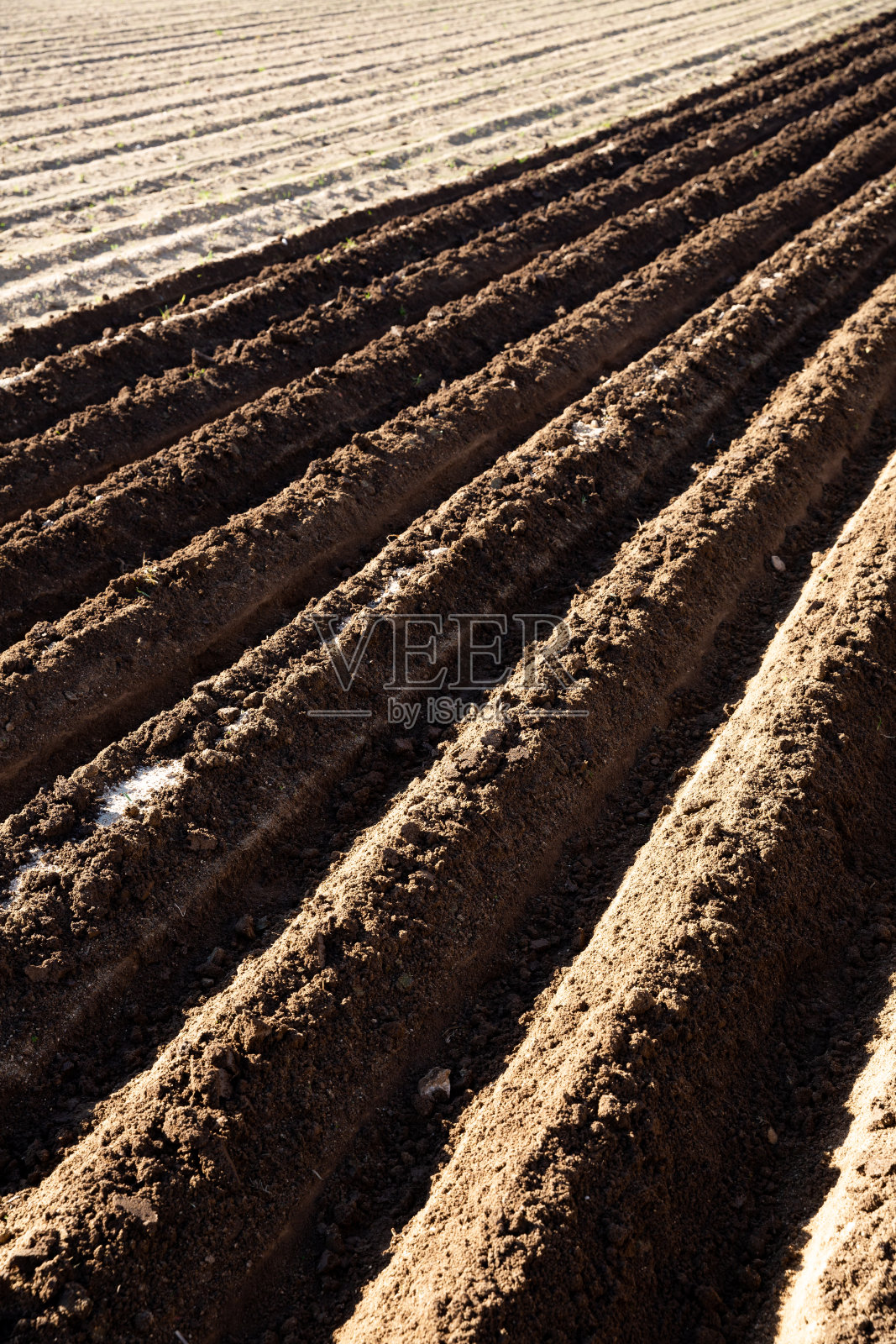 春天用花圃耕地照片摄影图片