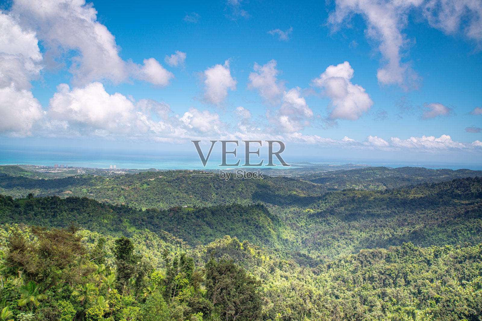 云克国家雨林照片摄影图片