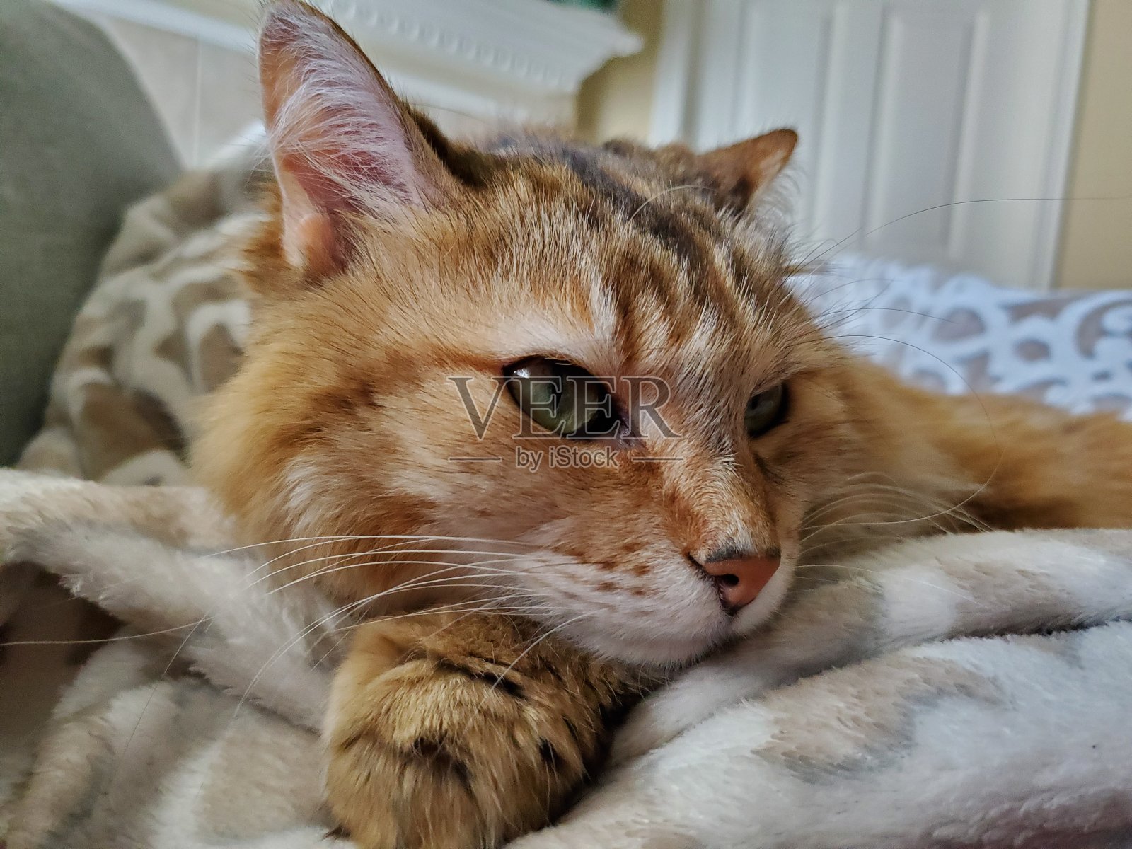 盖亚照片摄影图片