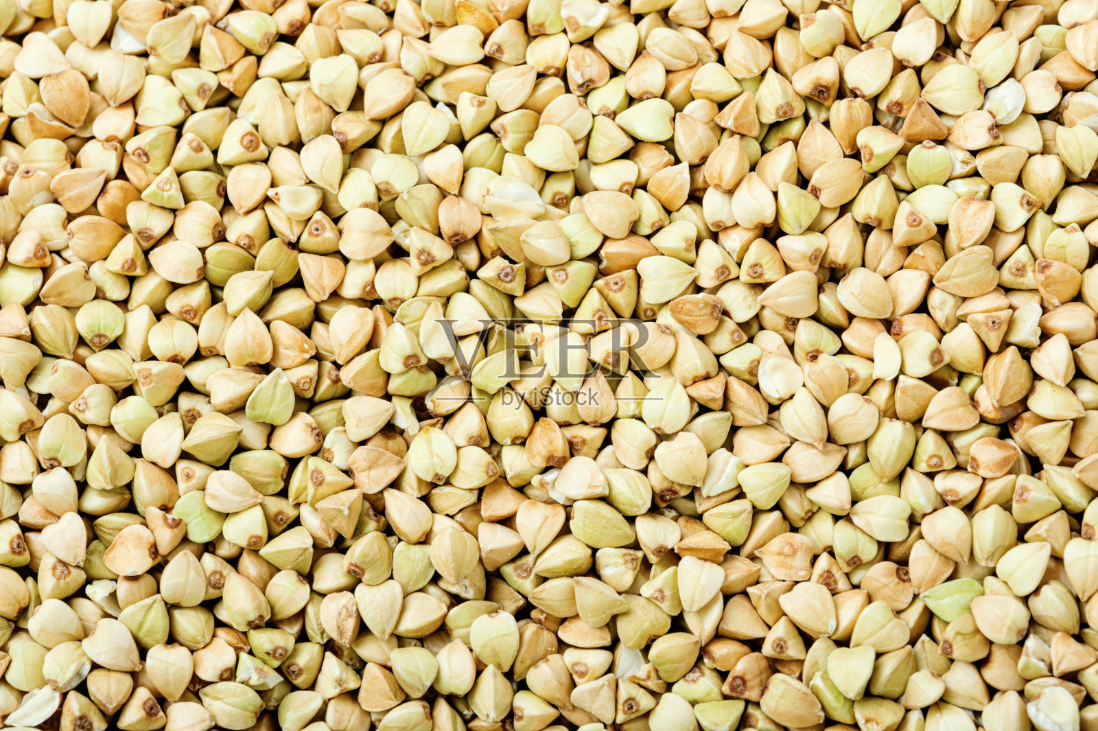 背景绿色荞麦,特写镜头照片摄影图片