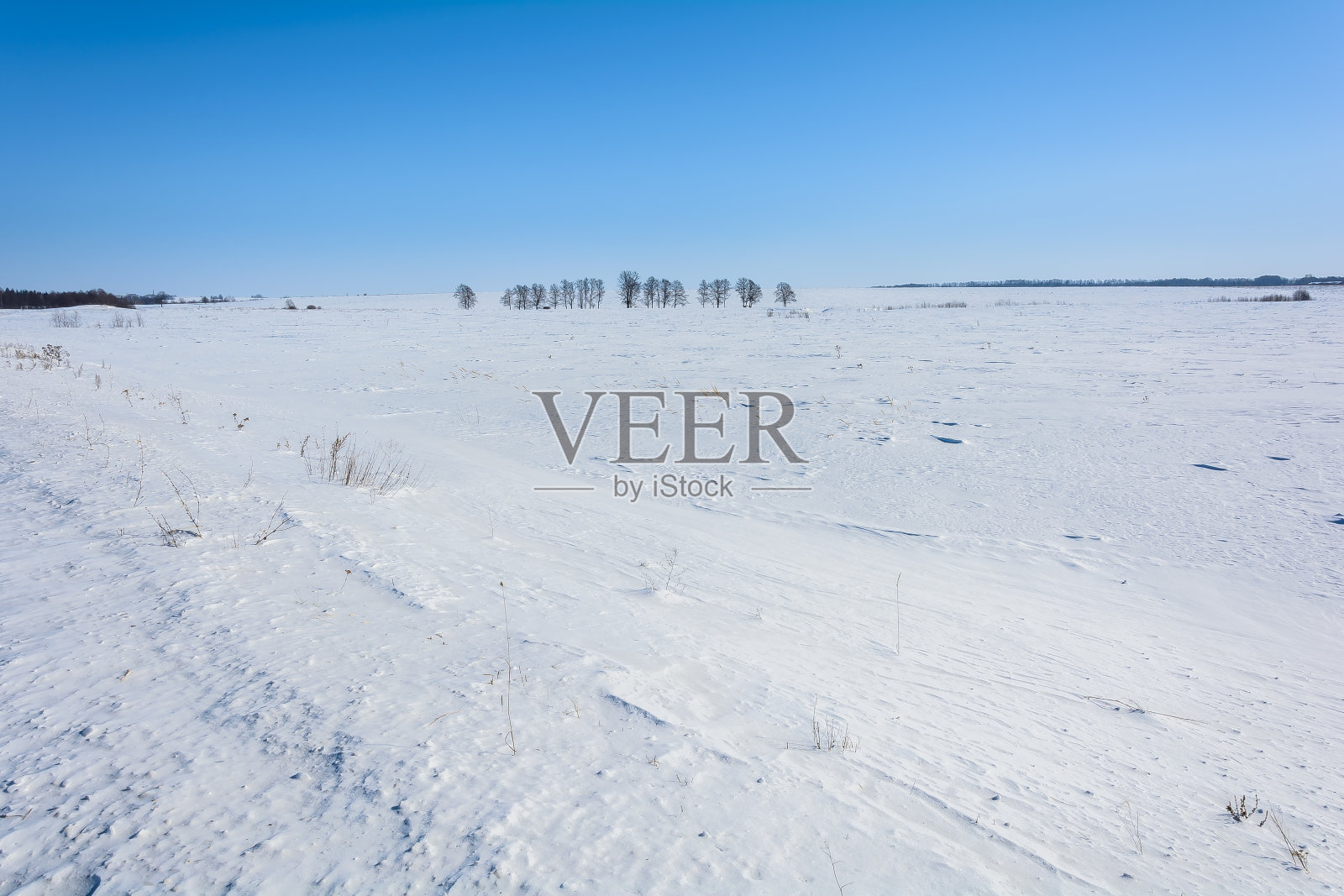 冬天的自然之美照片摄影图片