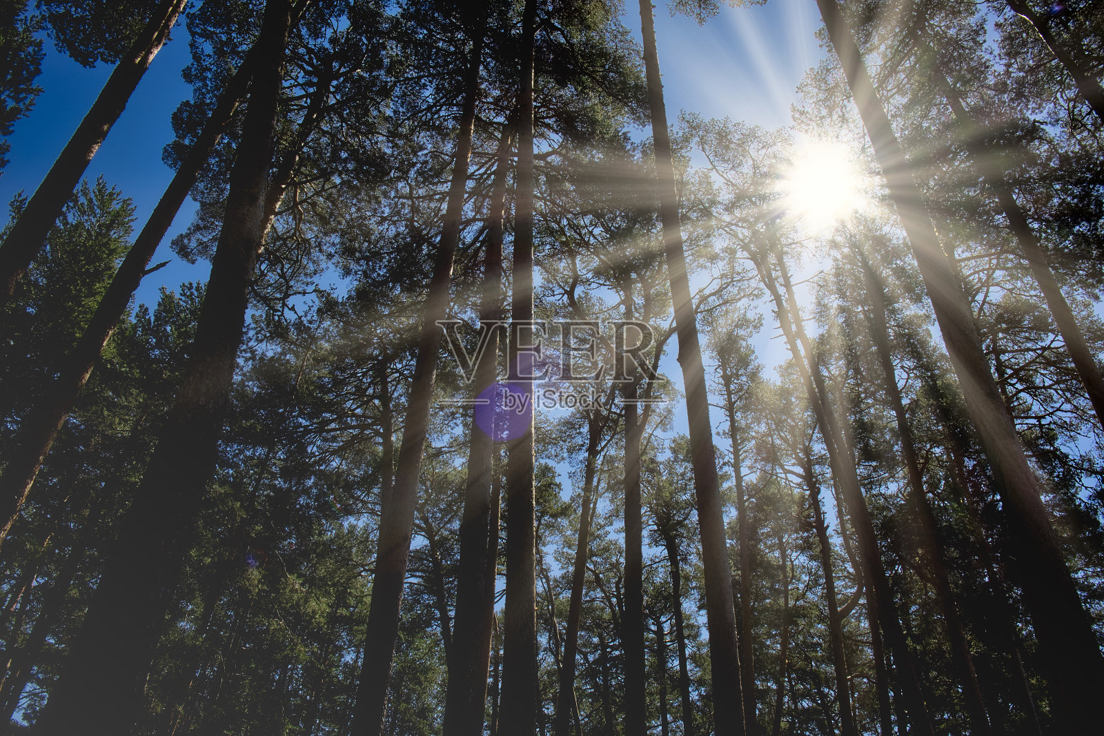 乡村和山区景观。照片摄影图片