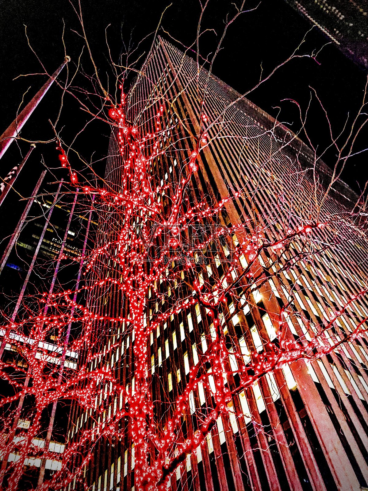 各种各样的建筑向上看,有闪烁的光树照片摄影图片