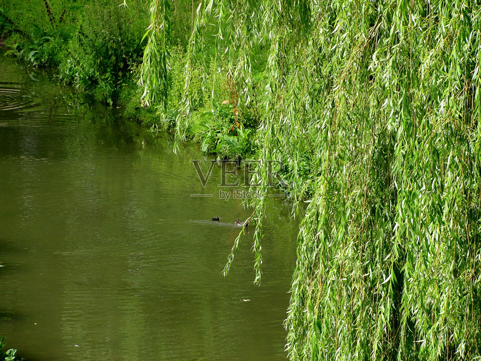 法国里尔古城(“城堡的女王”)的护城河。照片摄影图片