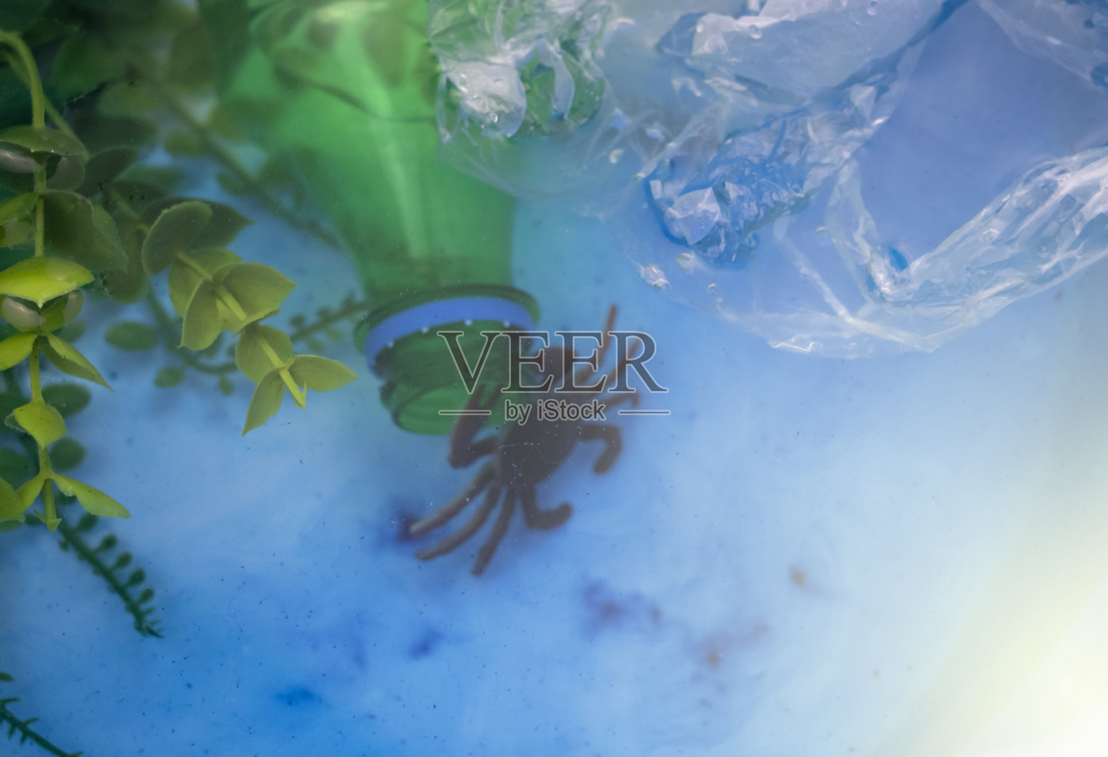 小螃蟹缠在塑料袋里。海洋的塑料污染。生态环保理念照片摄影图片