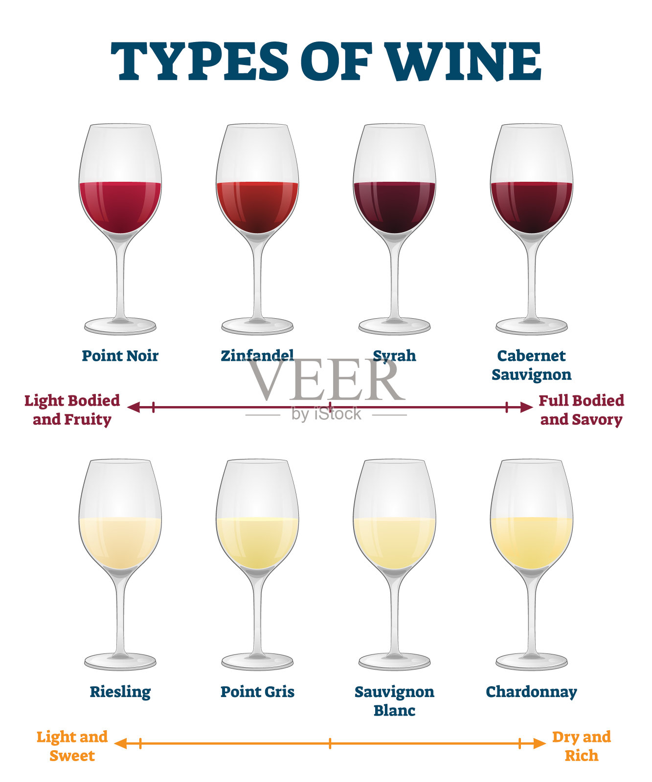 葡萄酒矢量图的类型。标示红白饮品说明。设计元素图片