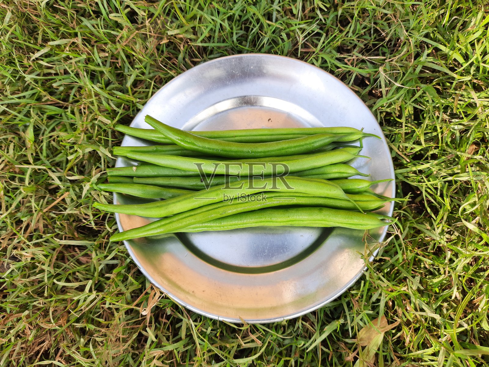 盘子上绿草背景的青豆。照片摄影图片
