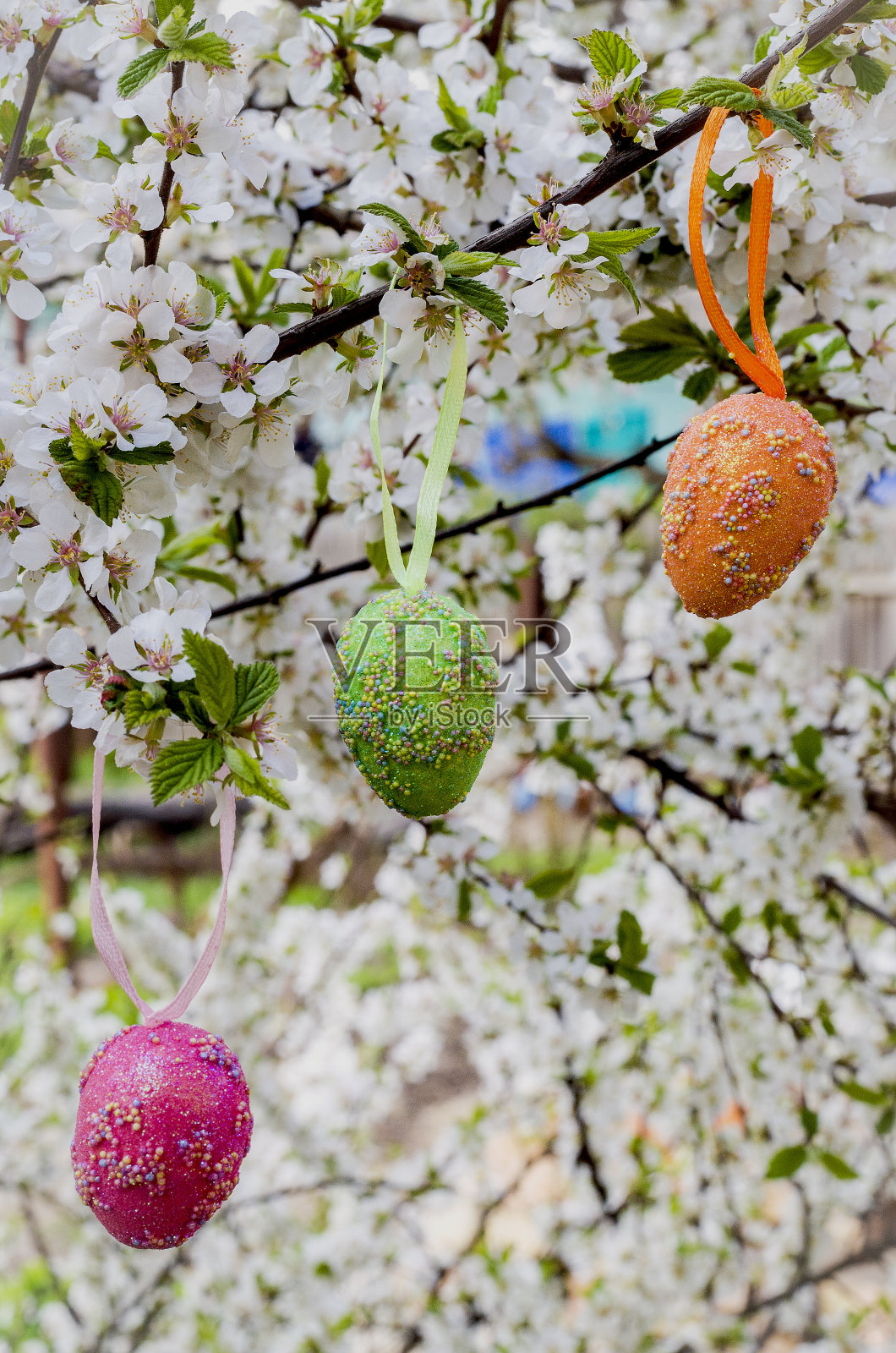圣诞树上装饰性的复活节彩蛋照片摄影图片