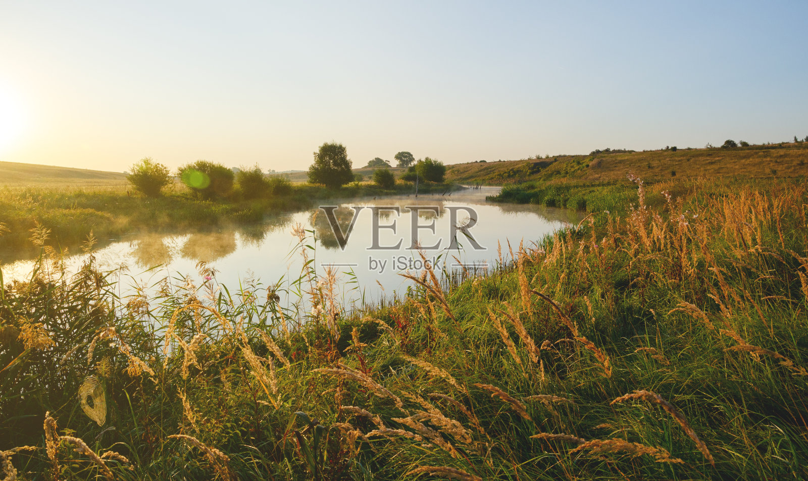 阳光明媚的河流景观照片摄影图片