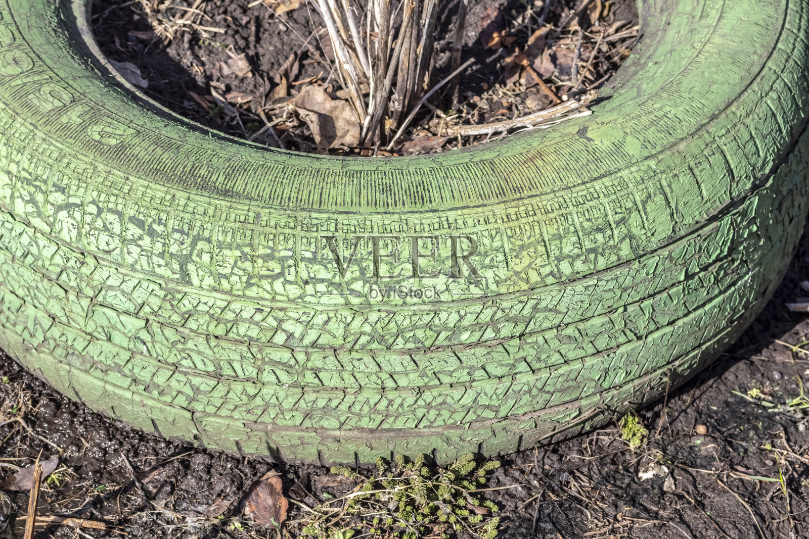 花园里的旧轮胎照片摄影图片
