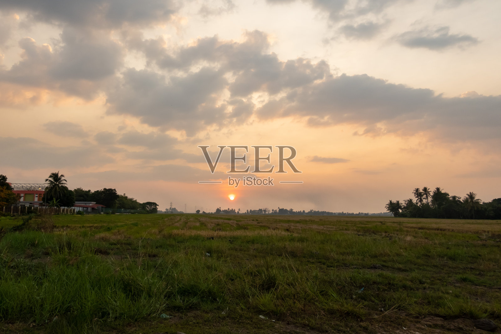 美丽的日落在稻田照片摄影图片