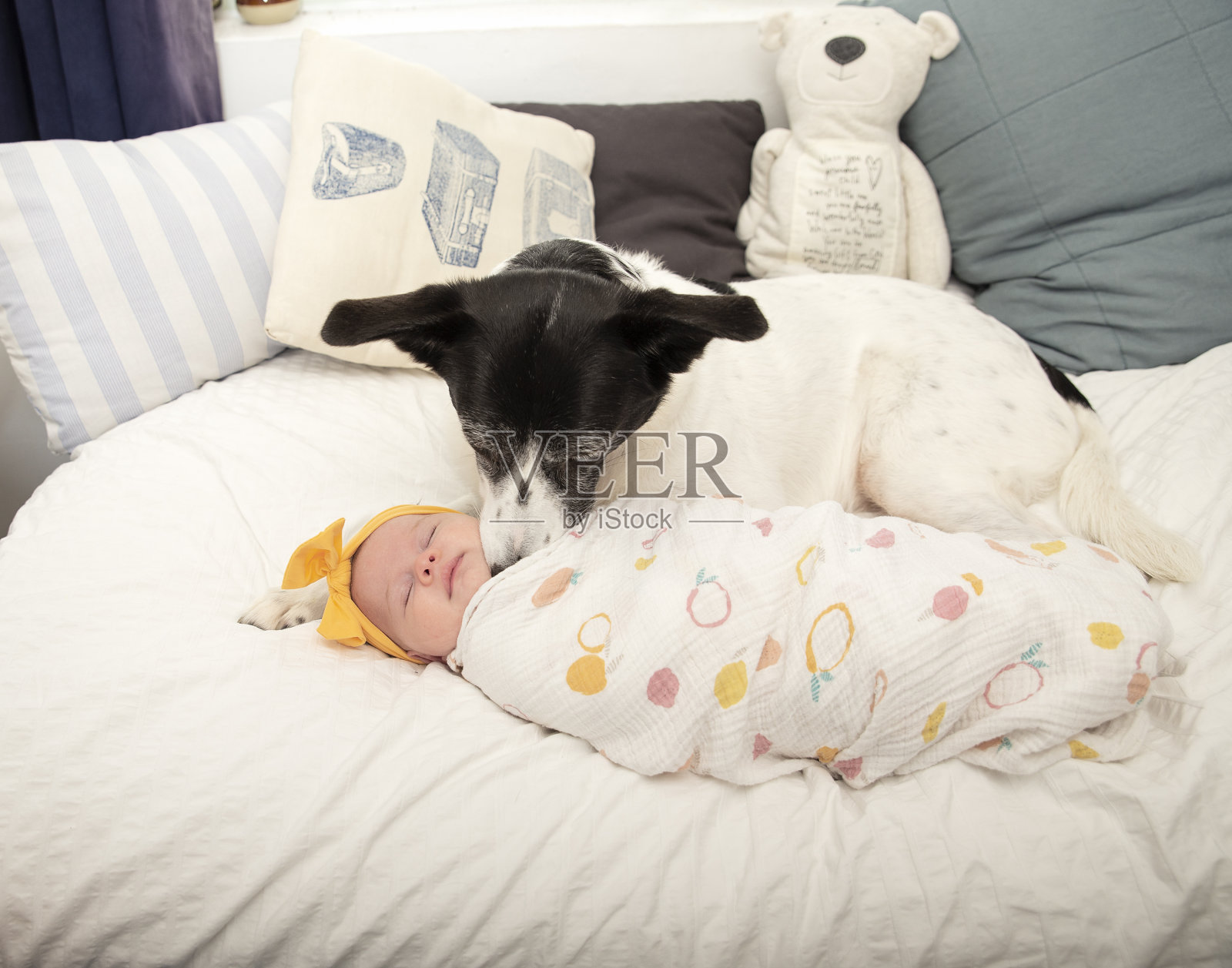 家养狗与新生女婴互动。照片摄影图片