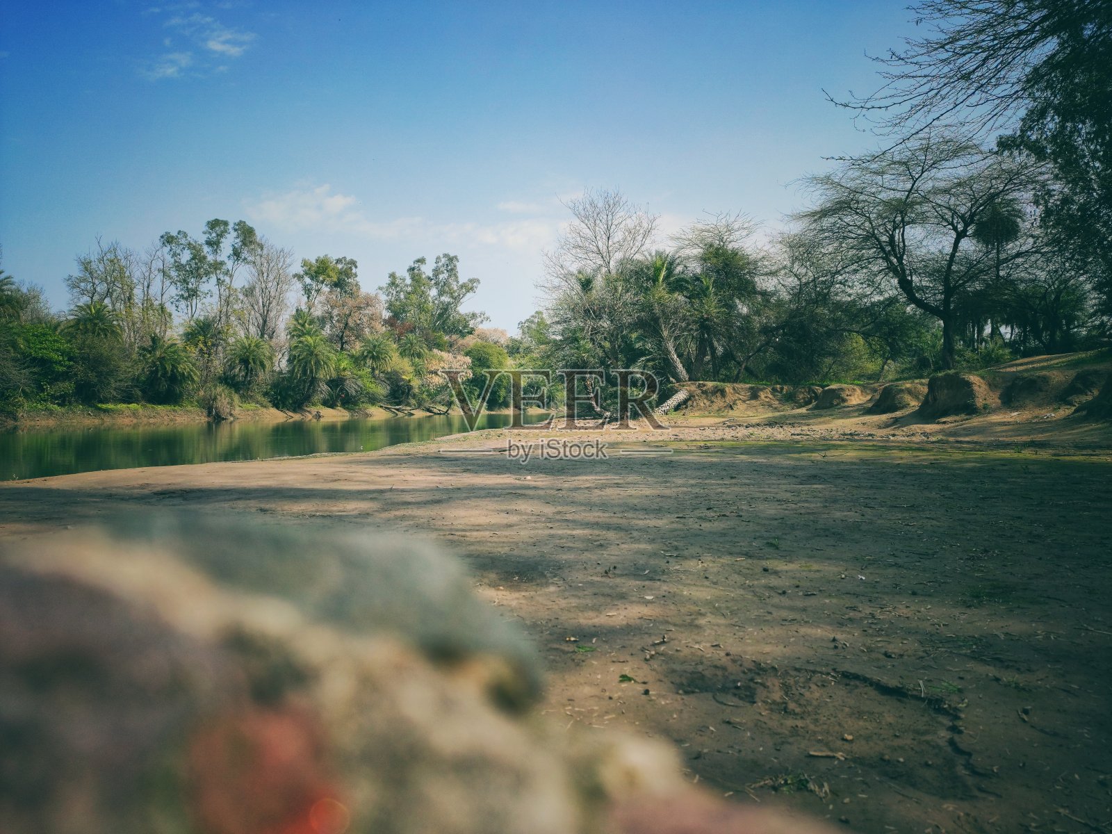 印度旁遮普一条河的美丽风景照片摄影图片