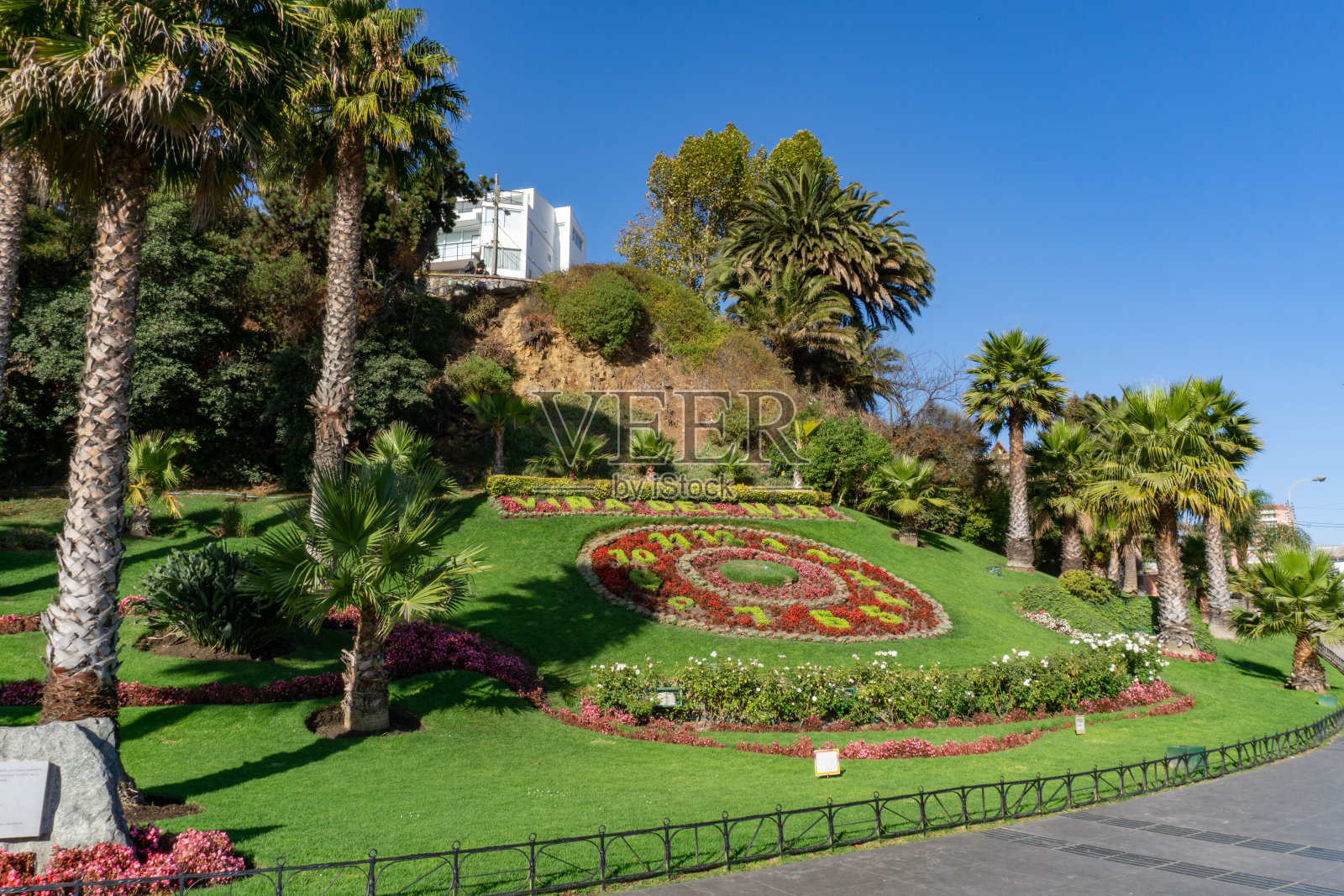鲜花在维纳德尔马钟照片摄影图片