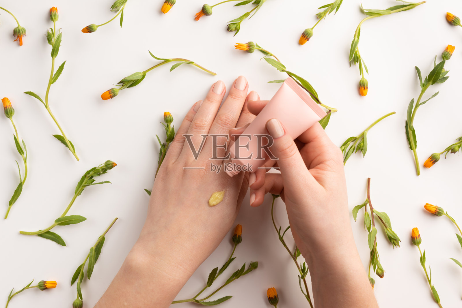 保健美容的概念。女人用天然霜在手上,金盏花,在白色的背景。平躺,俯视图照片摄影图片