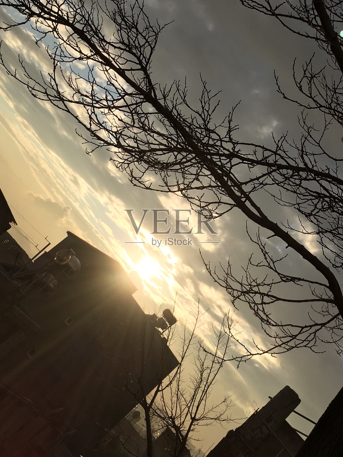 日落的建筑物和树照片摄影图片