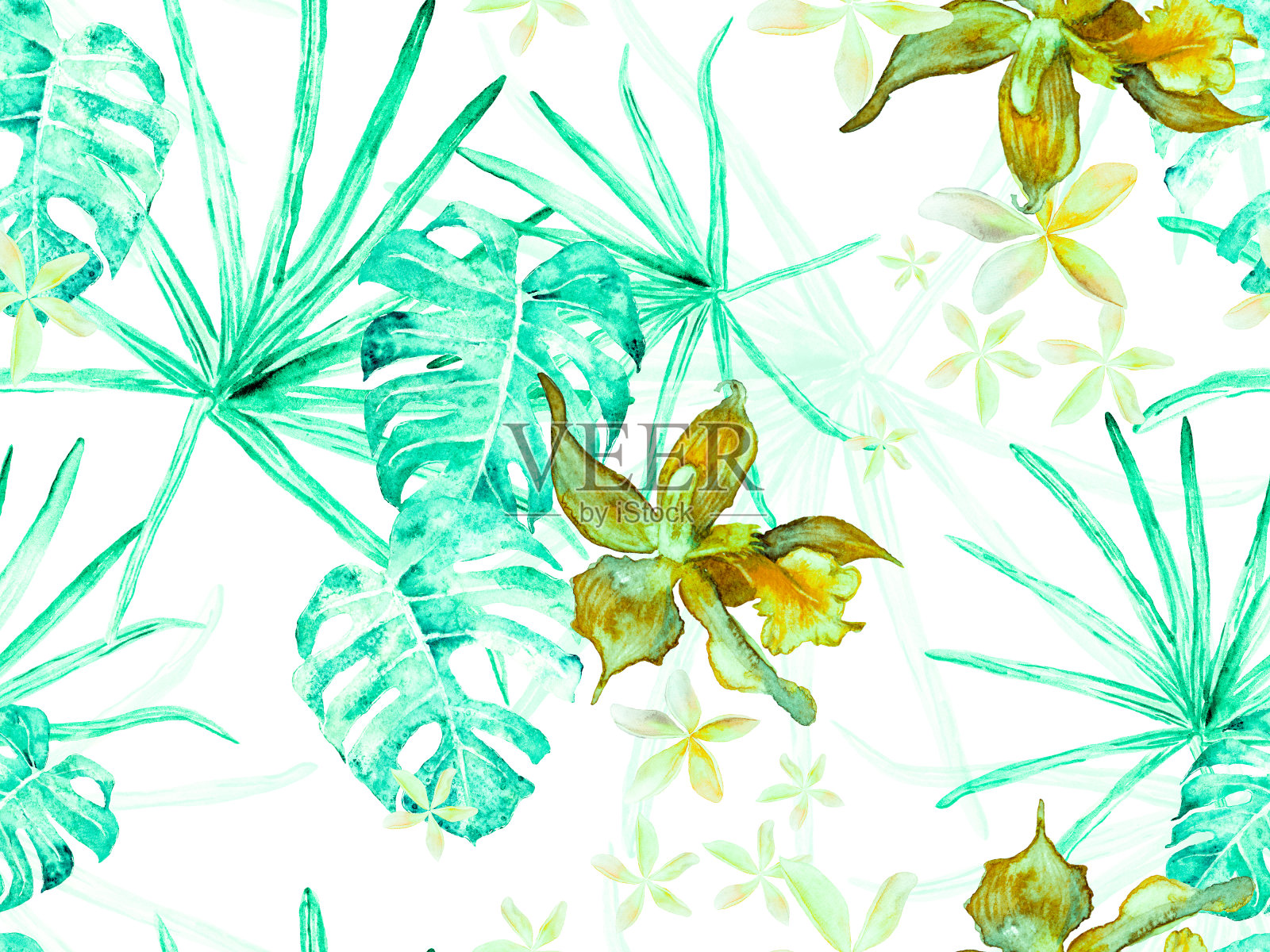 兰花无缝模式。插画图片素材