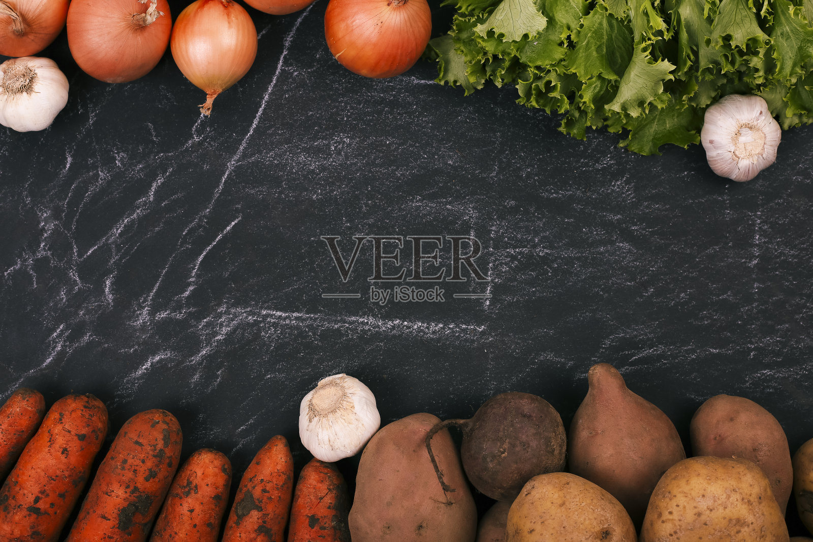 菜园里的各种新鲜蔬菜照片摄影图片