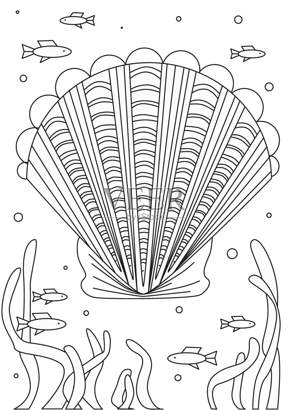贝壳和海藻在白色的背景作为着色页,大纲矢量股票插图与海洋动物作为抗压力的成年人或儿童着色书插画图片素材