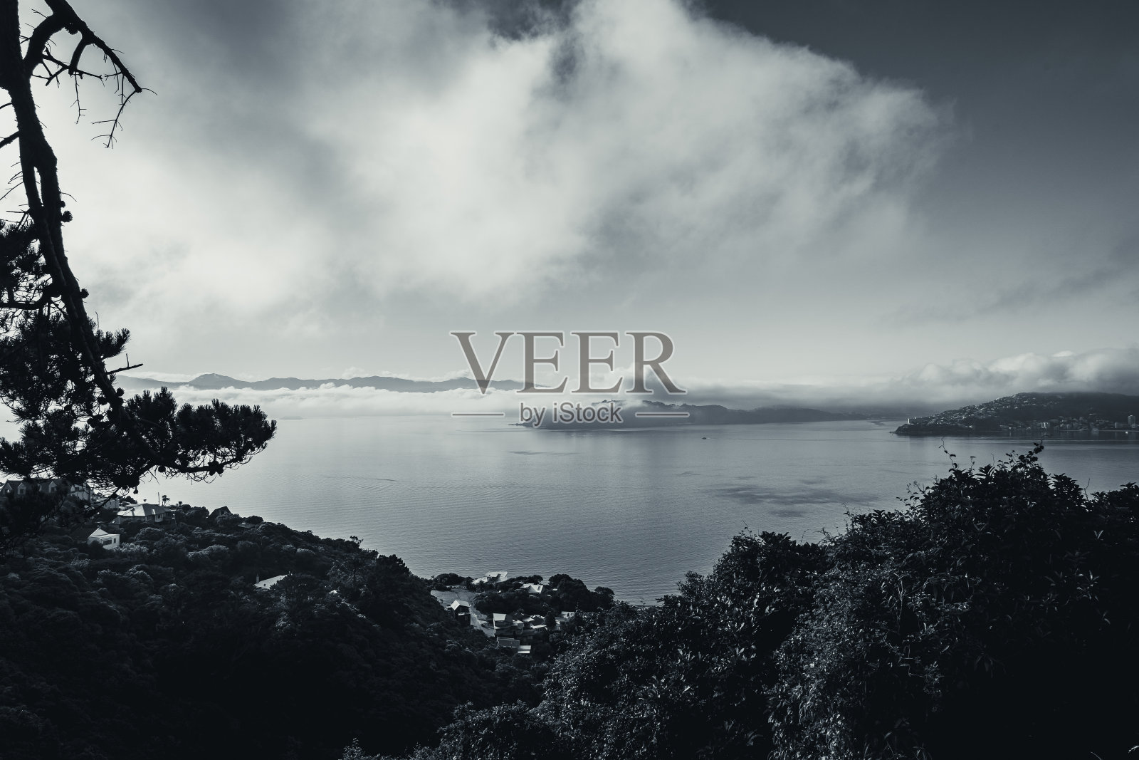 雾蒙蒙早晨的惠灵顿;黑白风格照片摄影图片