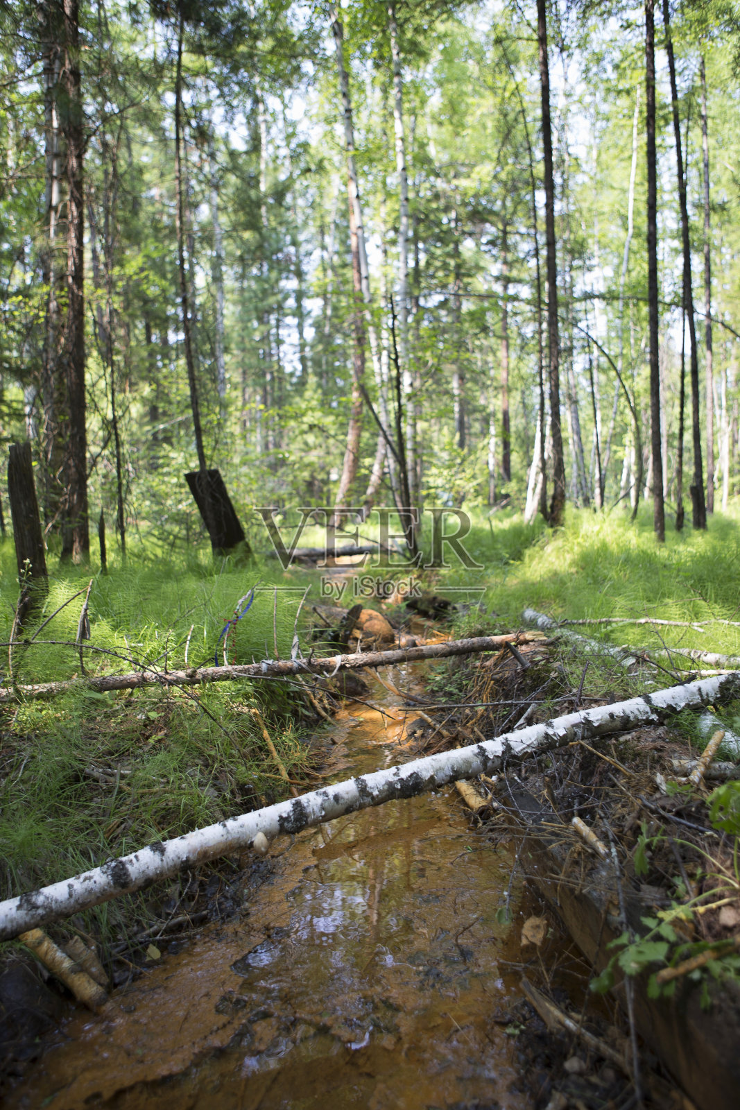 有药用价值的神圣泉水照片摄影图片