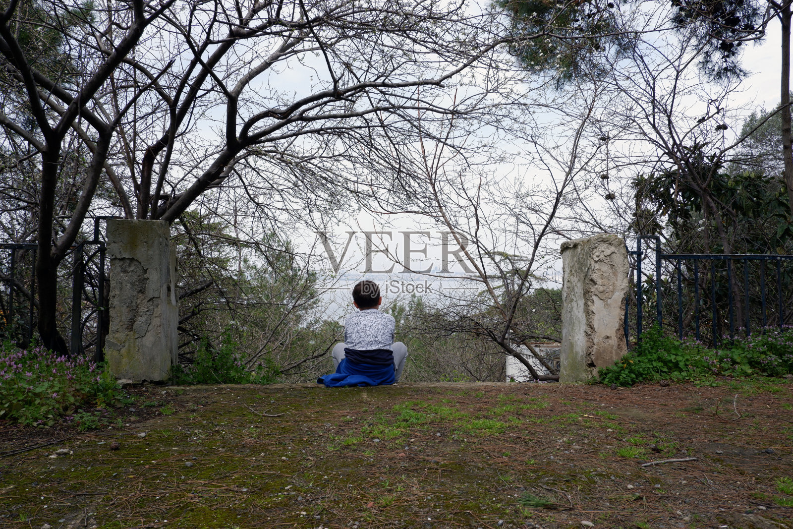 春天,一个九岁的男孩独自坐在一棵开花的树下。照片摄影图片