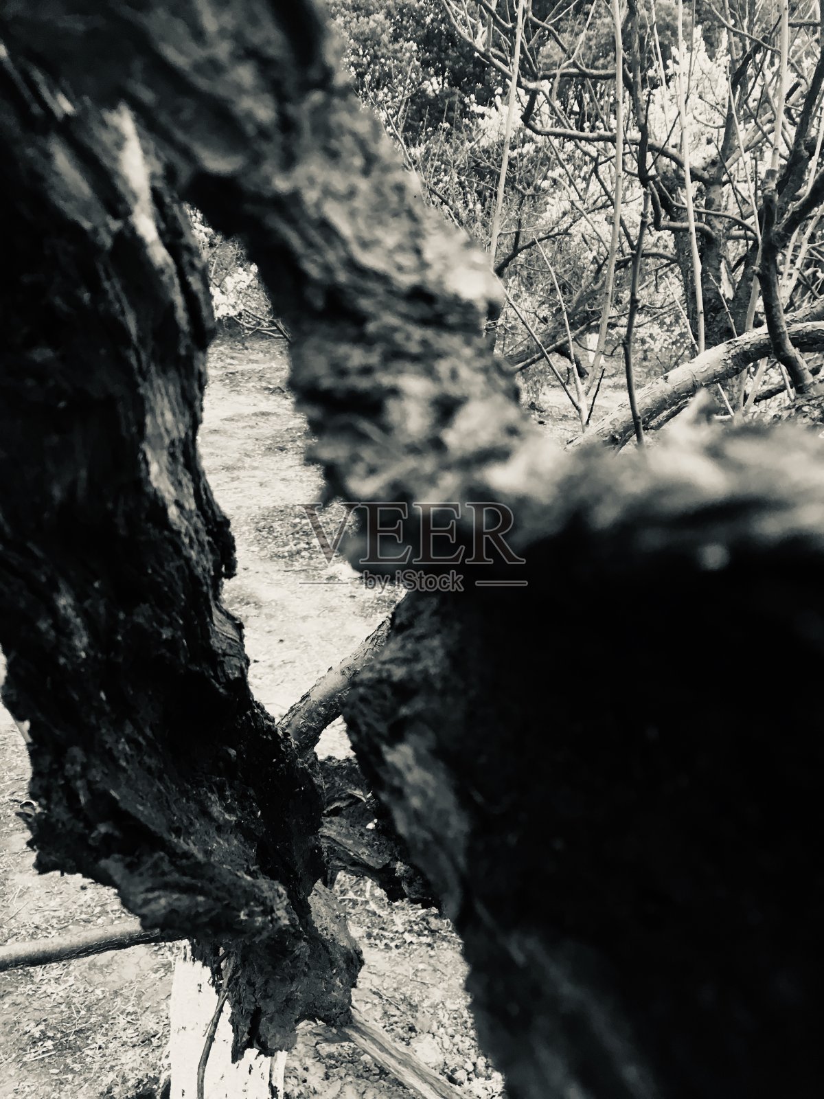 看到另一个世界照片摄影图片