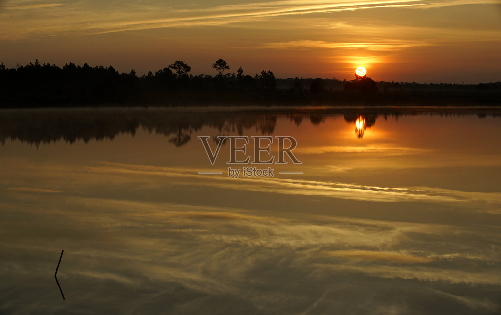 黄金早上湖照片摄影图片