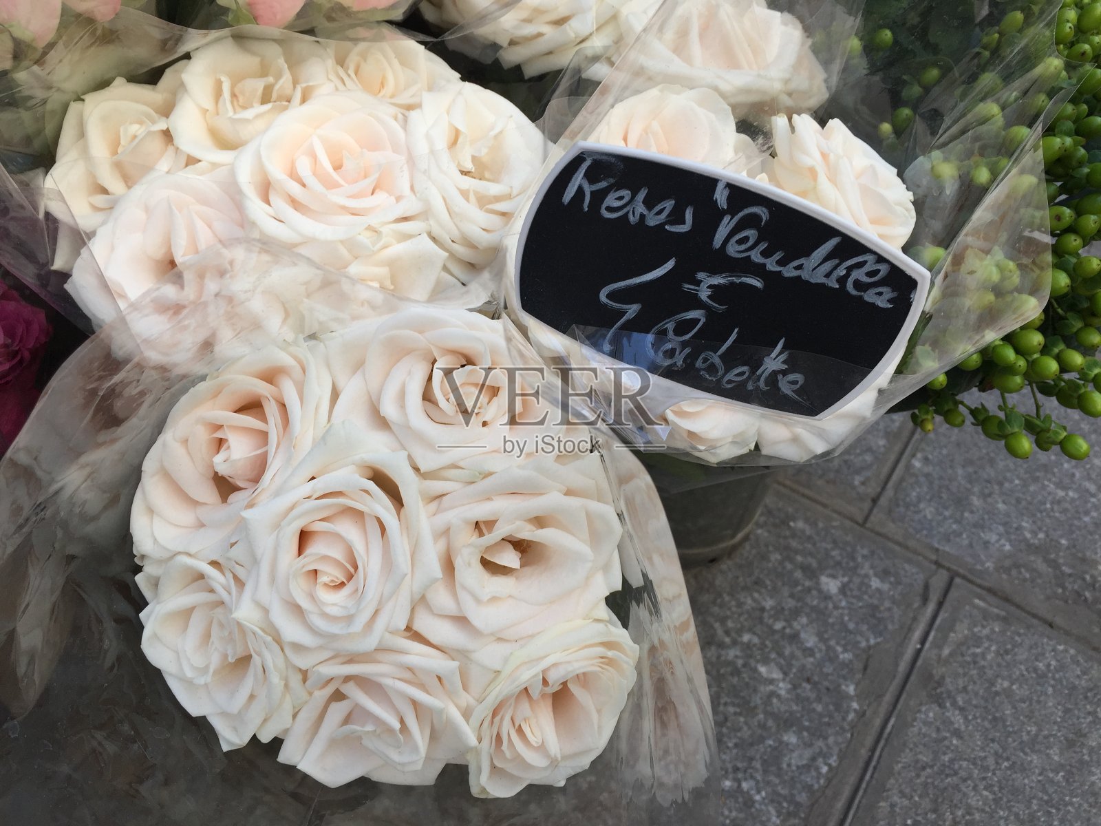 巴黎的白玫瑰照片摄影图片