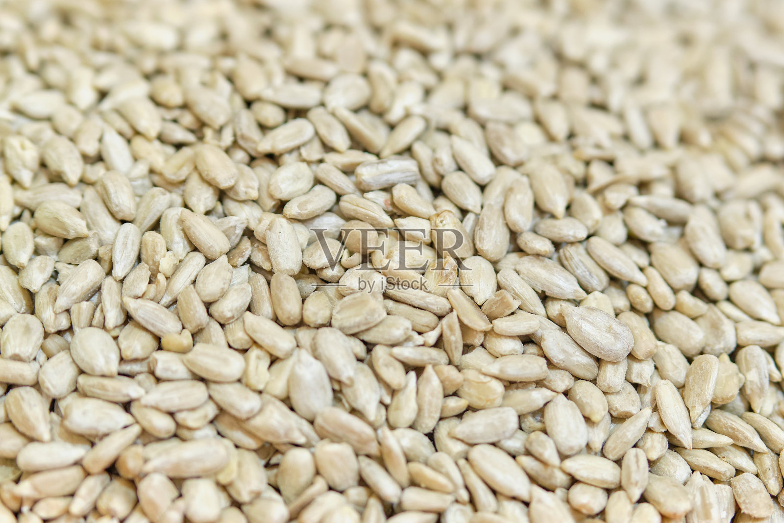 葵花籽的背景和质地。照片摄影图片