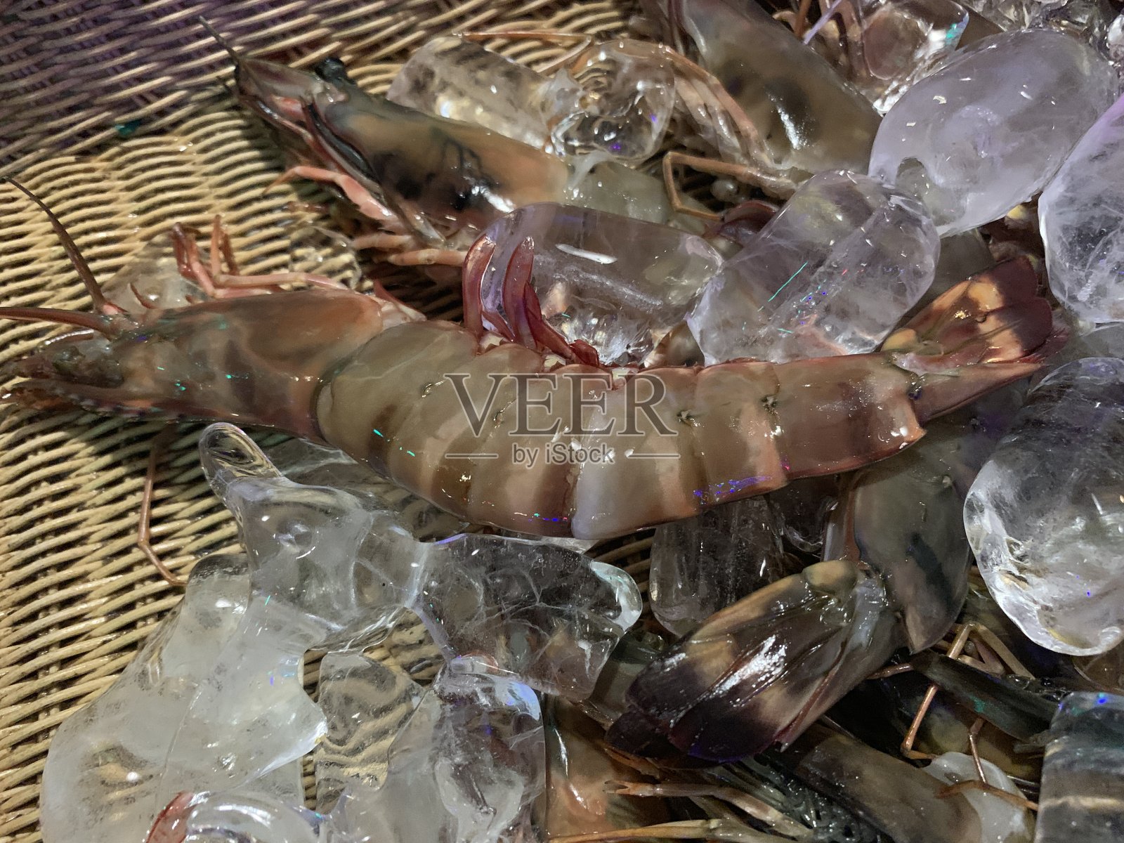 龙虾被网缠住了照片摄影图片