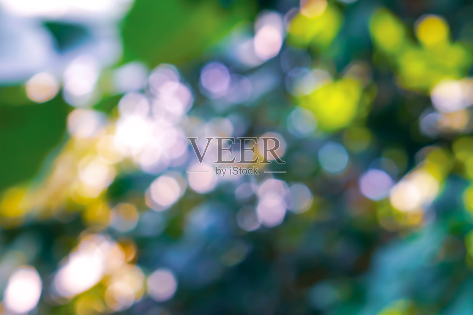 浅绿色和金色的散景抽象节日背景照片摄影图片