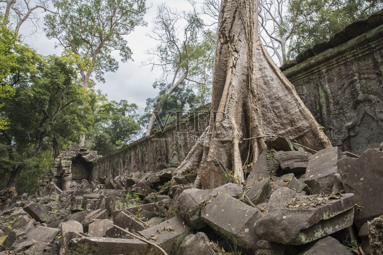 塔普罗姆照片摄影图片