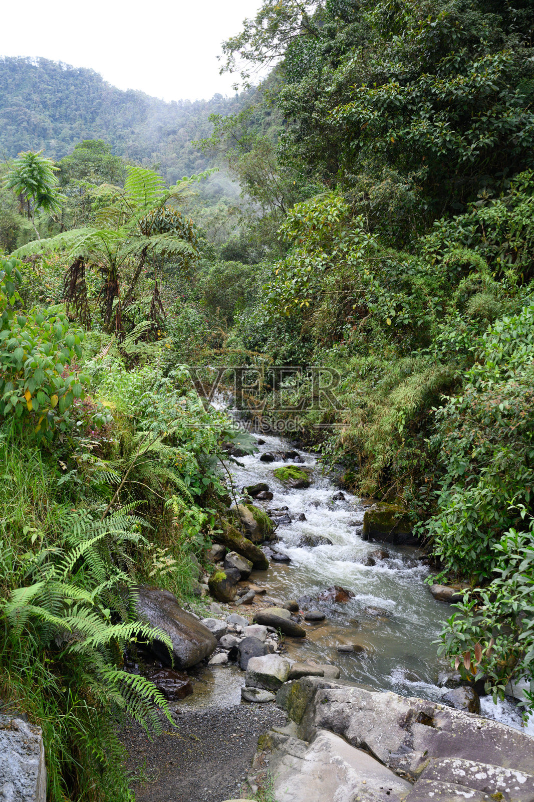 新鲜的温暖的水顺着特尔马斯圣维森特流下来照片摄影图片