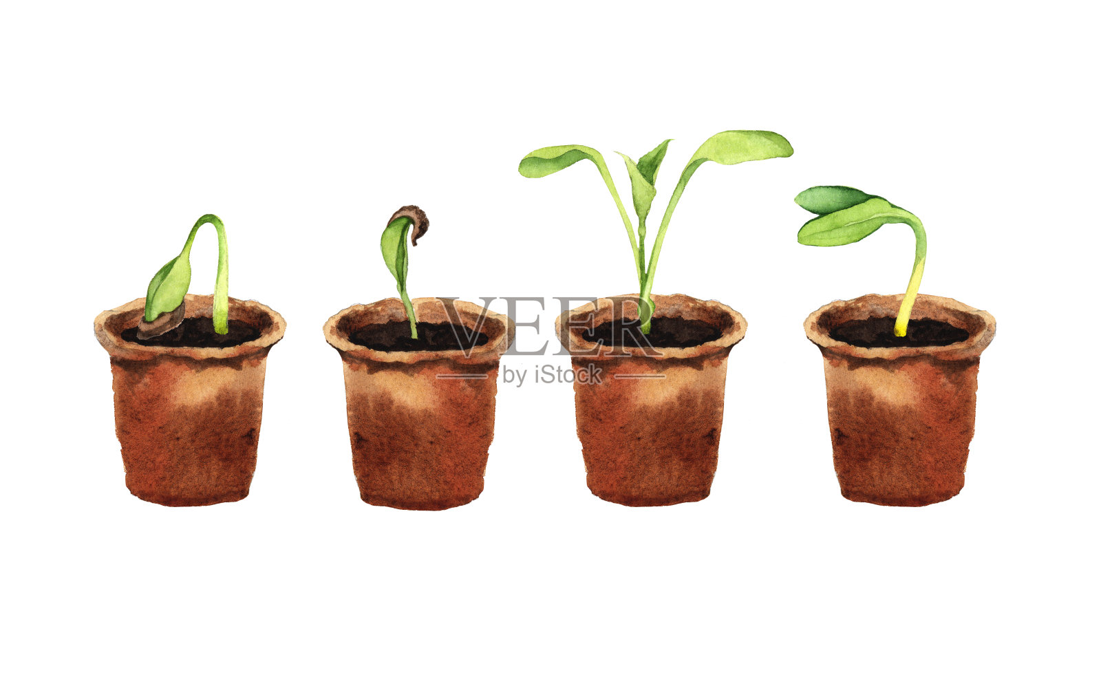 一套环保植物幼苗插画图片素材