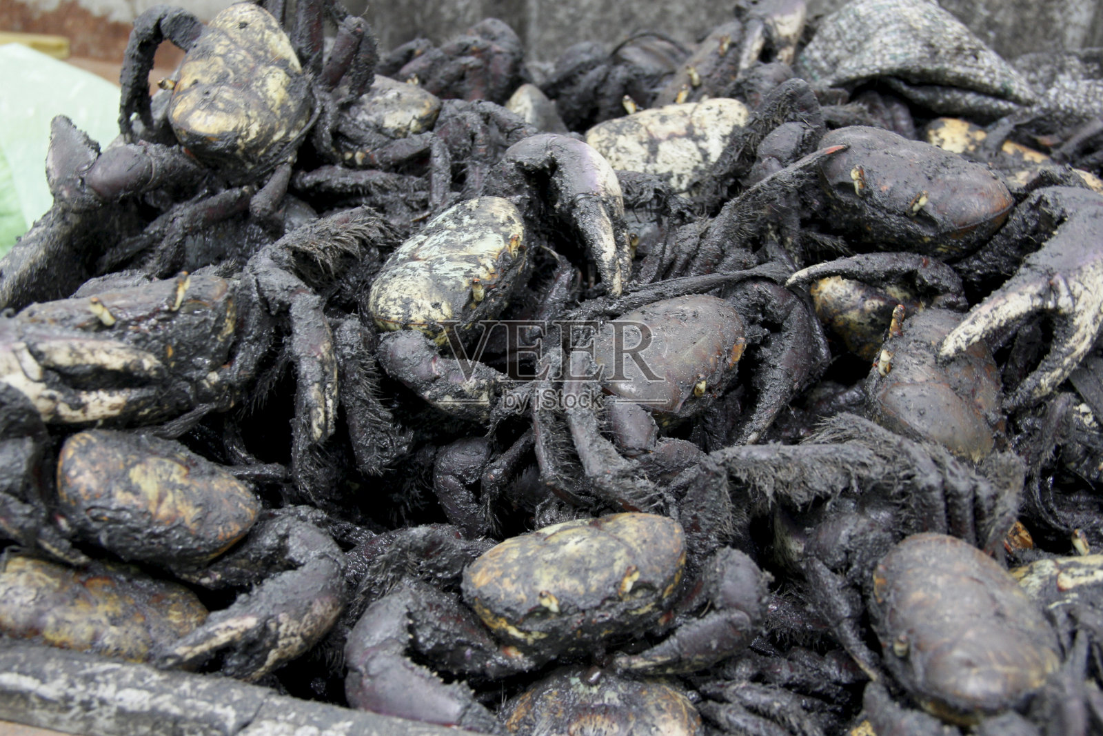 在萨尔瓦多照片摄影图片