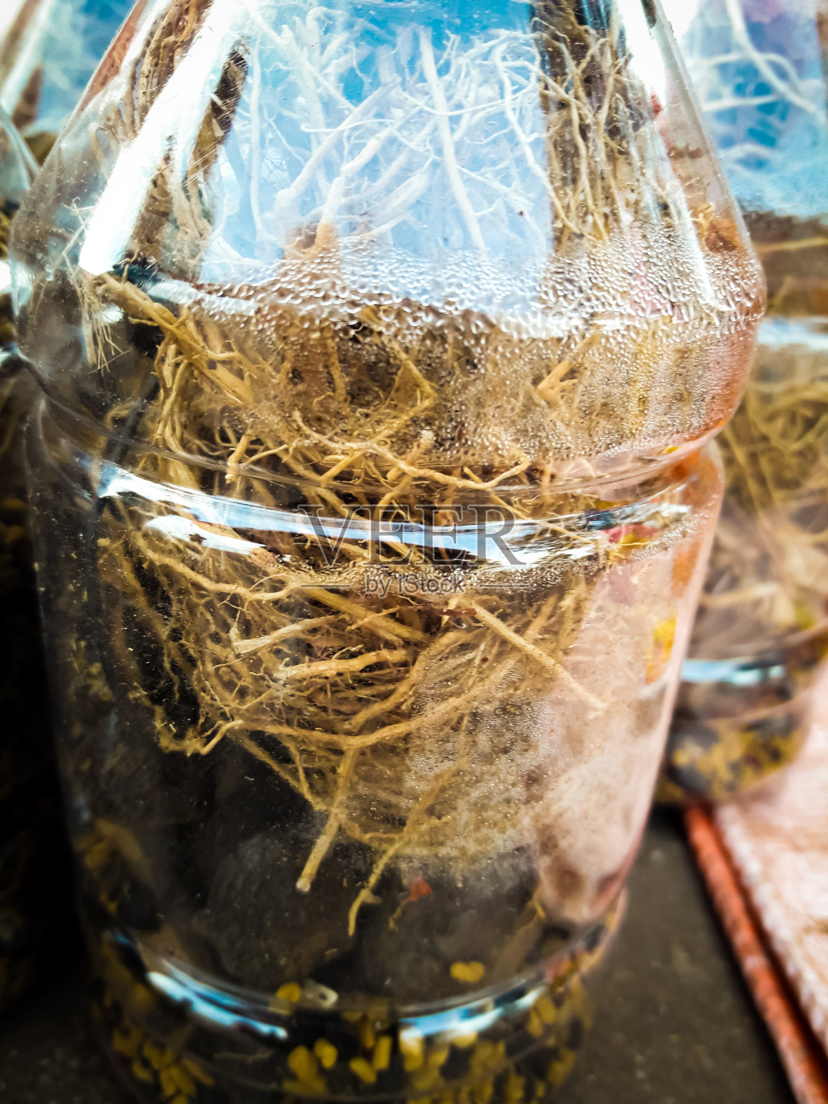 天然喜玛拉雅配料,有机佳能瓶照片摄影图片