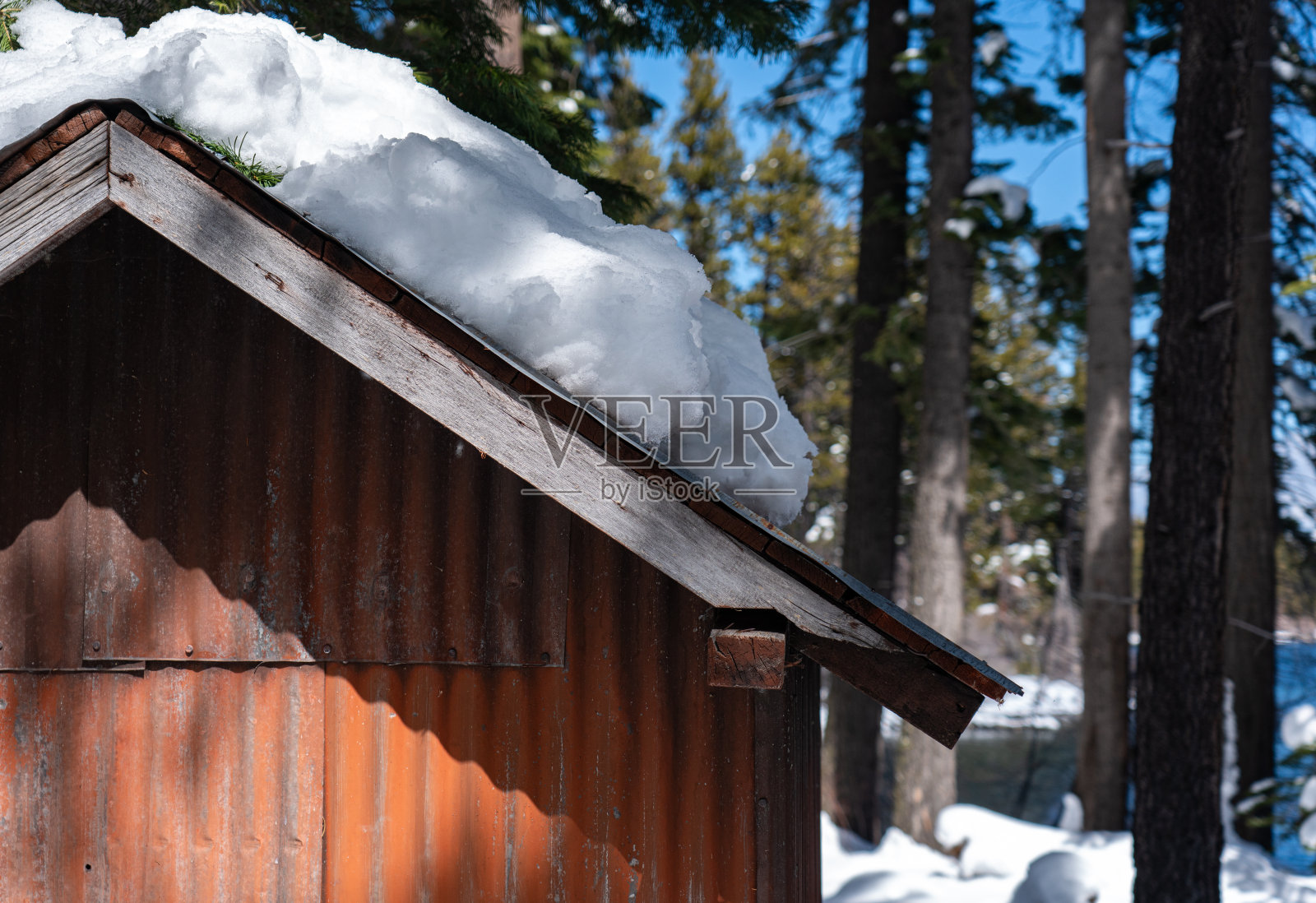 森林中金属小屋的局部视图照片摄影图片