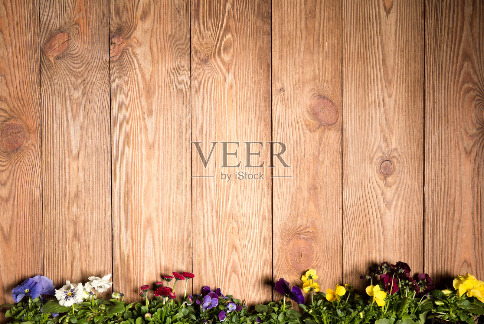 园艺工具,种子和土壤在木桌上,户外园艺工具和植物。照片摄影图片