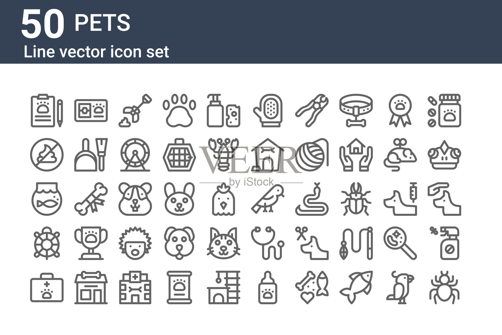 一套50个宠物图标。轮廓细线图标,如狼蛛,急救箱,乌龟,鱼缸,没有粪便,筹码卡图标素材