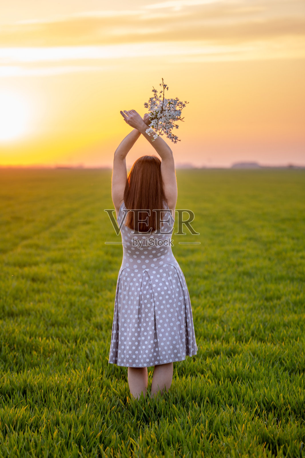 女孩走在麦田里照片摄影图片