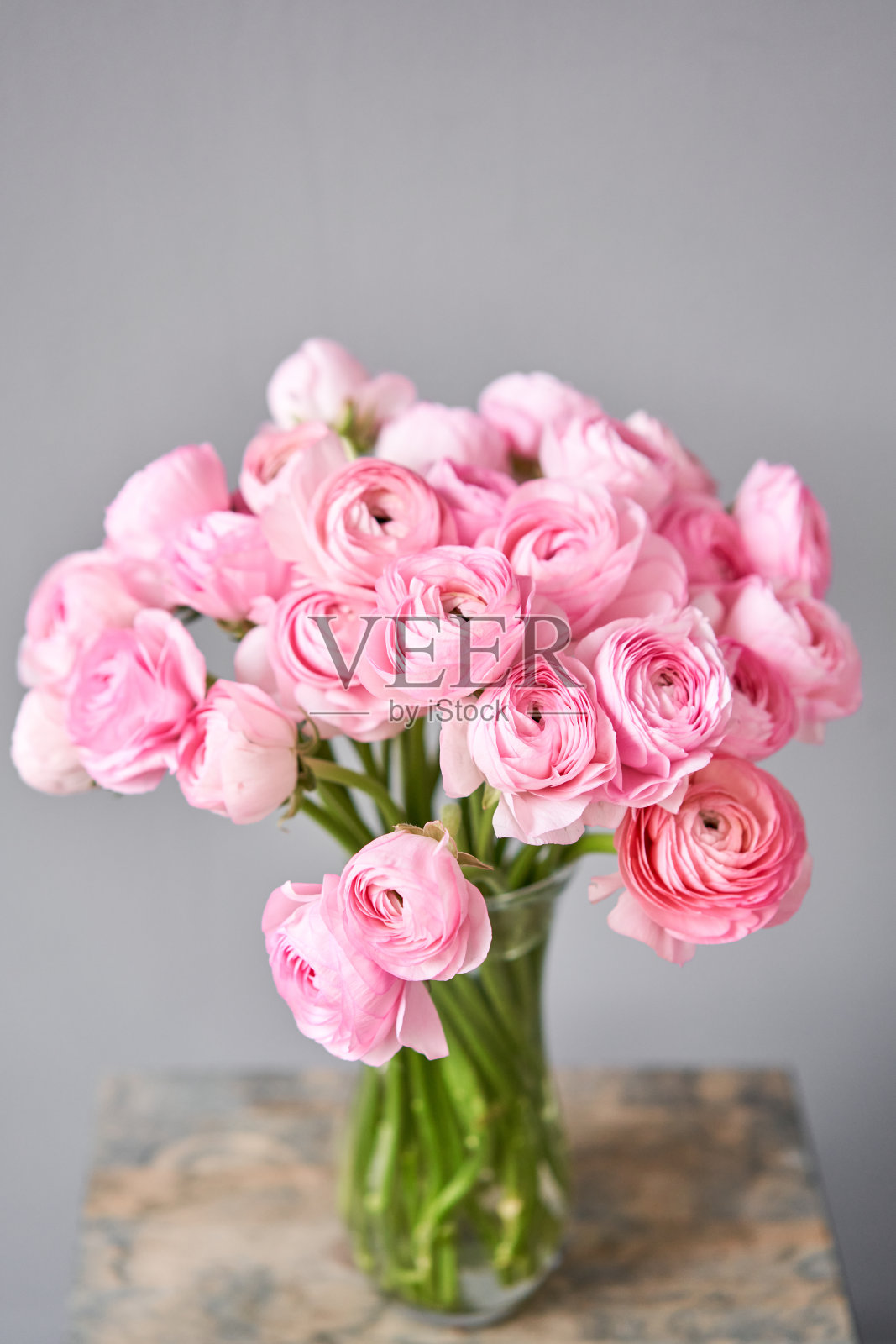 春天的背景,花朵的壁纸。波斯毛茛属植物。一束浅灰色背景的粉红色毛茛花。古董木桌上的花瓶。壁纸照片摄影图片