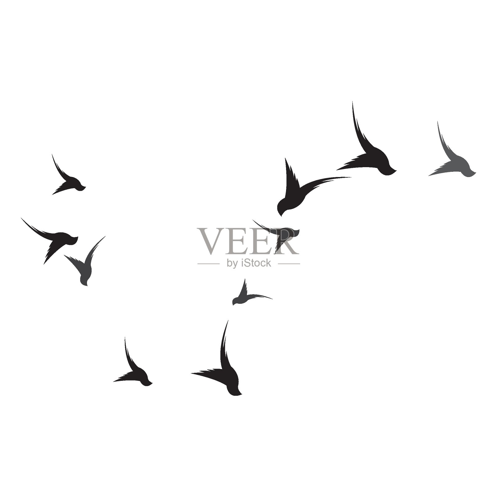 鸟标志模板矢量插画图片素材