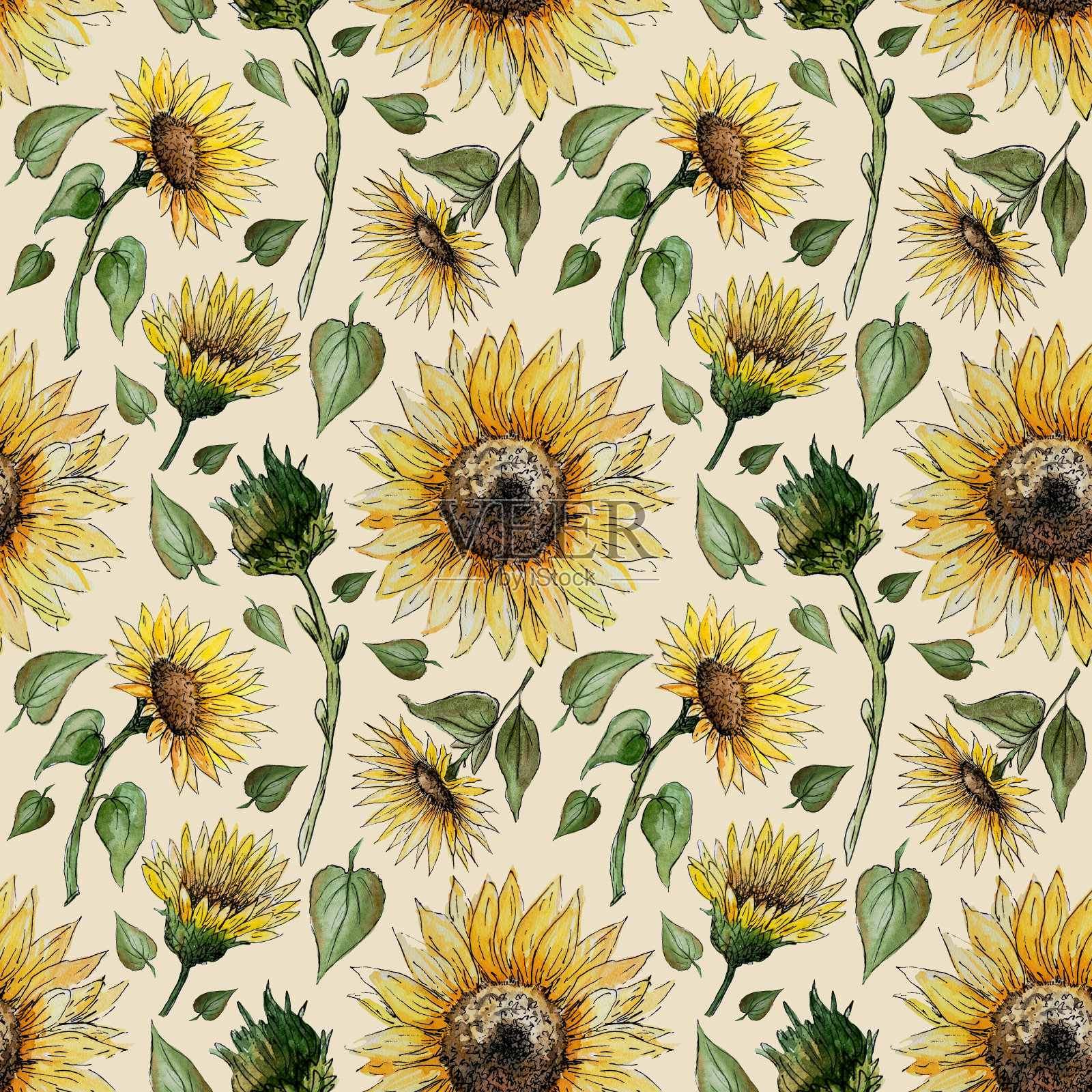 无缝模式的水彩向日葵芽,叶茎在米色背景。插画图片素材
