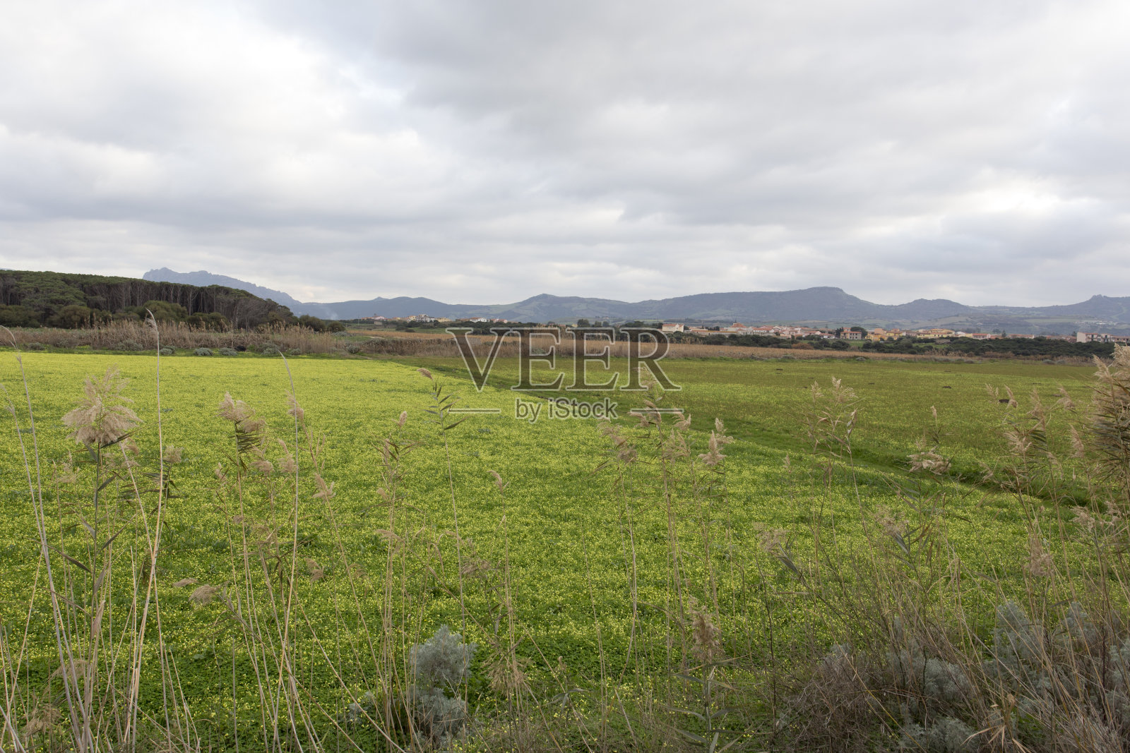 冬季撒丁岛的乡村景色照片摄影图片