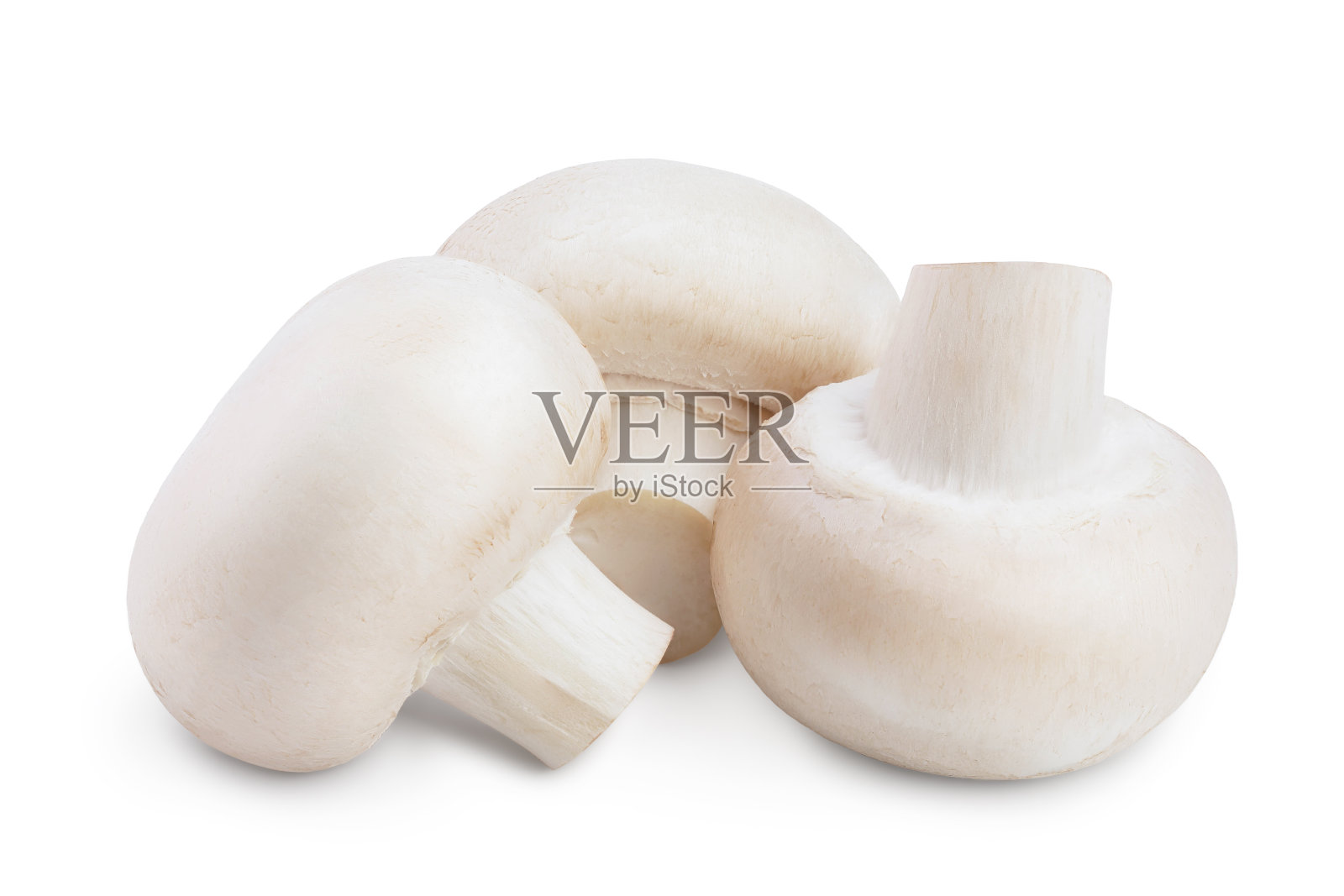 新鲜蘑菇冠军孤立在白色背景与修剪路径照片摄影图片