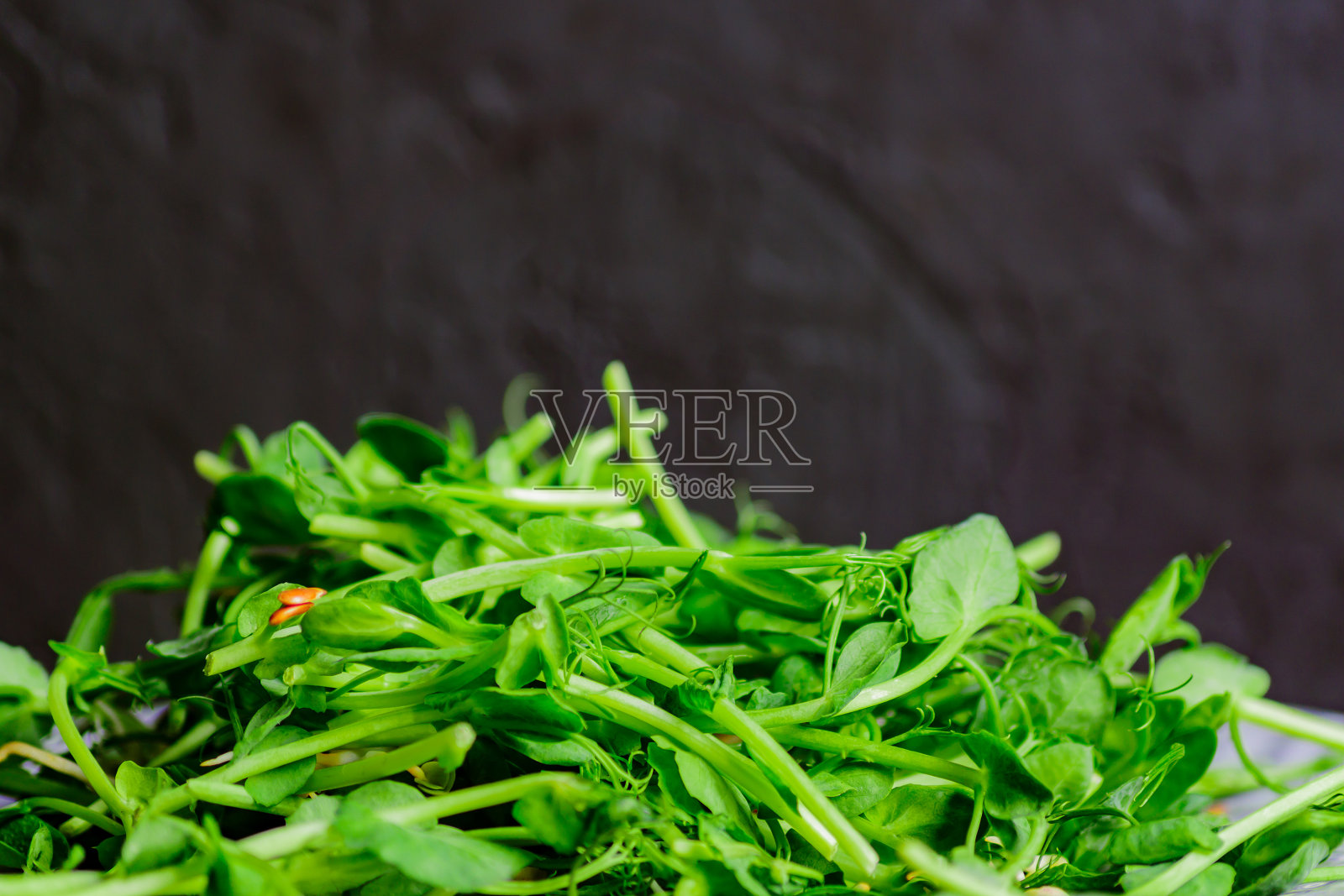 新鲜在特写镜头。用盘子种豌豆芽做沙拉。健康饮食。副本的空间。照片摄影图片